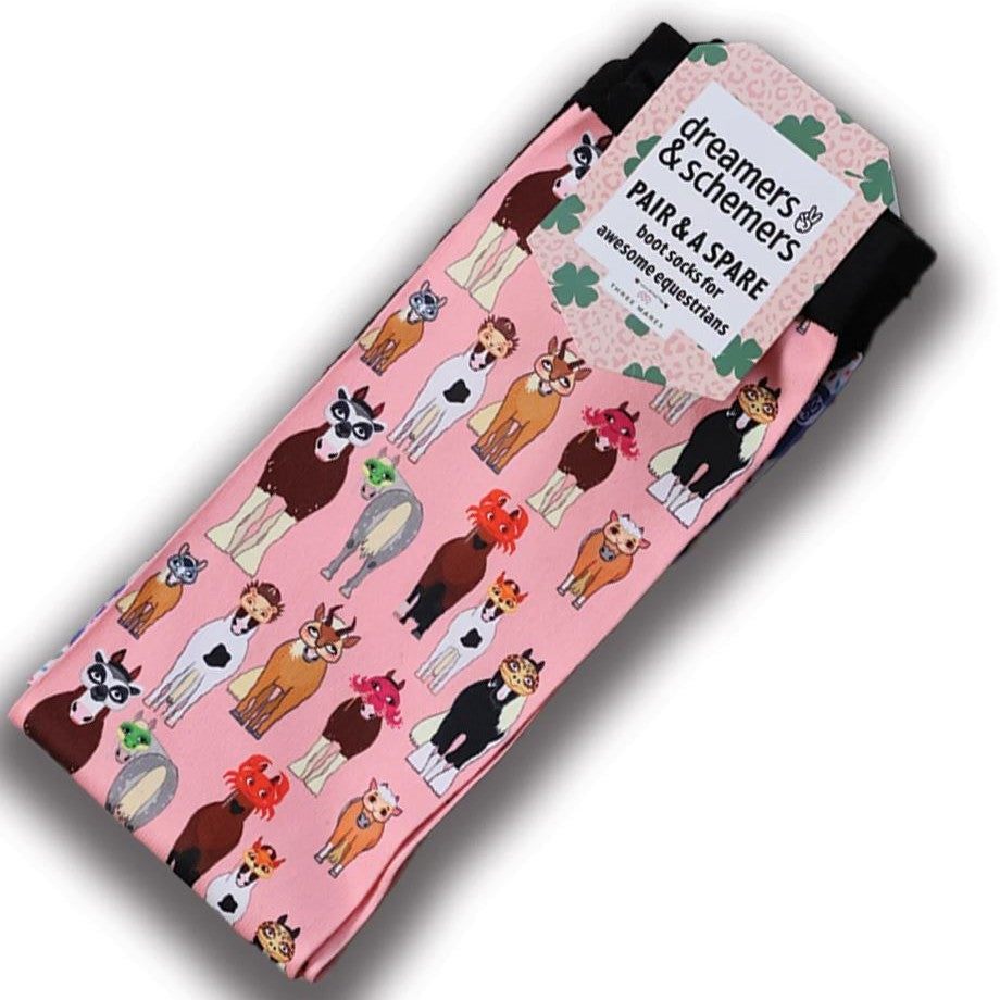 Dreamers & Schemers Pair & A Spare Youth Socks-1