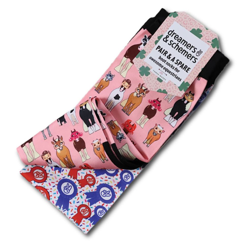 Dreamers & Schemers Pair & A Spare Youth Socks-4