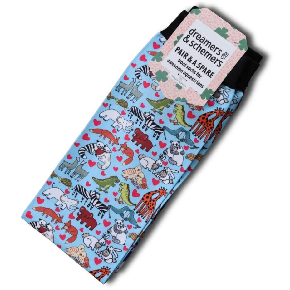 Dreamers & Schemers Pair & A Spare Youth Socks-2