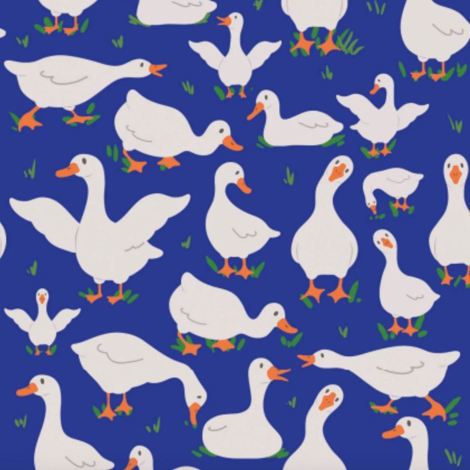 Dreamers & Schemers Pair & A Spare Adult Socks-zoom-27
