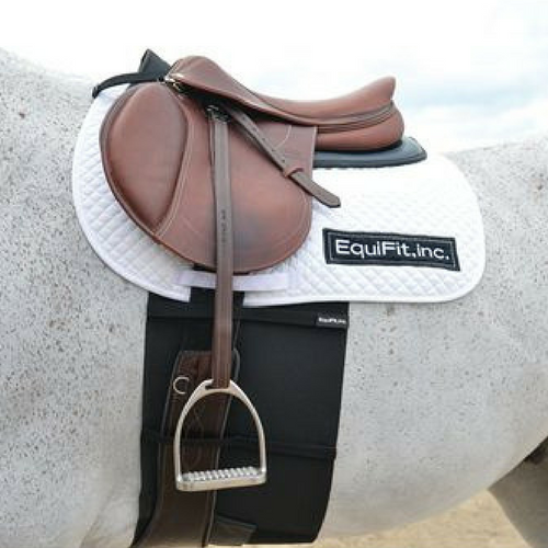 EquiFit BellyBand-1
