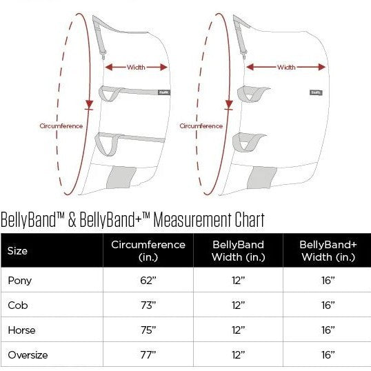 Equifit BellyBand+ Plus-zoom-3