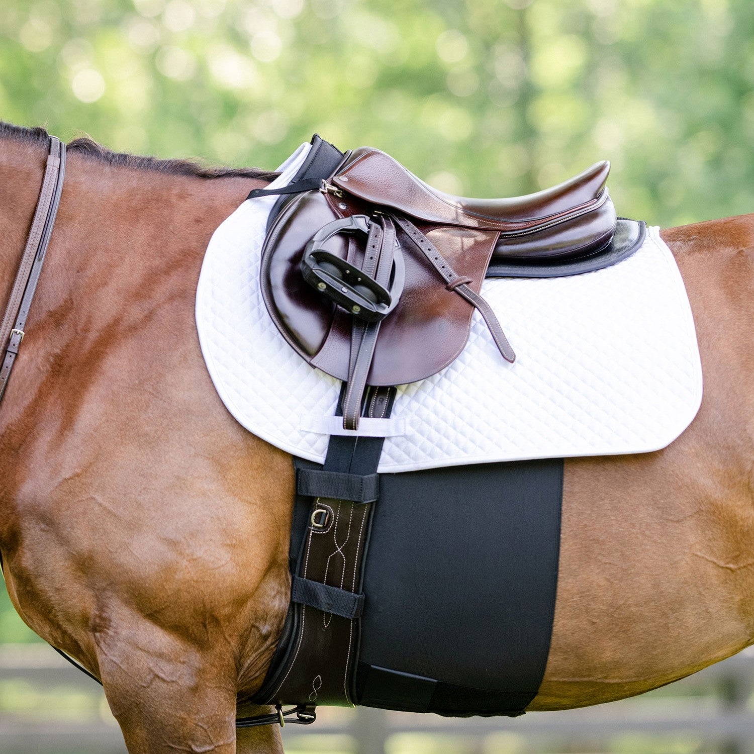 Equifit BellyBand+ Plus with Fleece-2