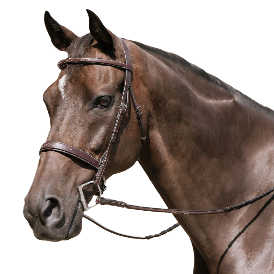 Nunn Finer Caterina Hunter Bridle with Reins-zoom-2