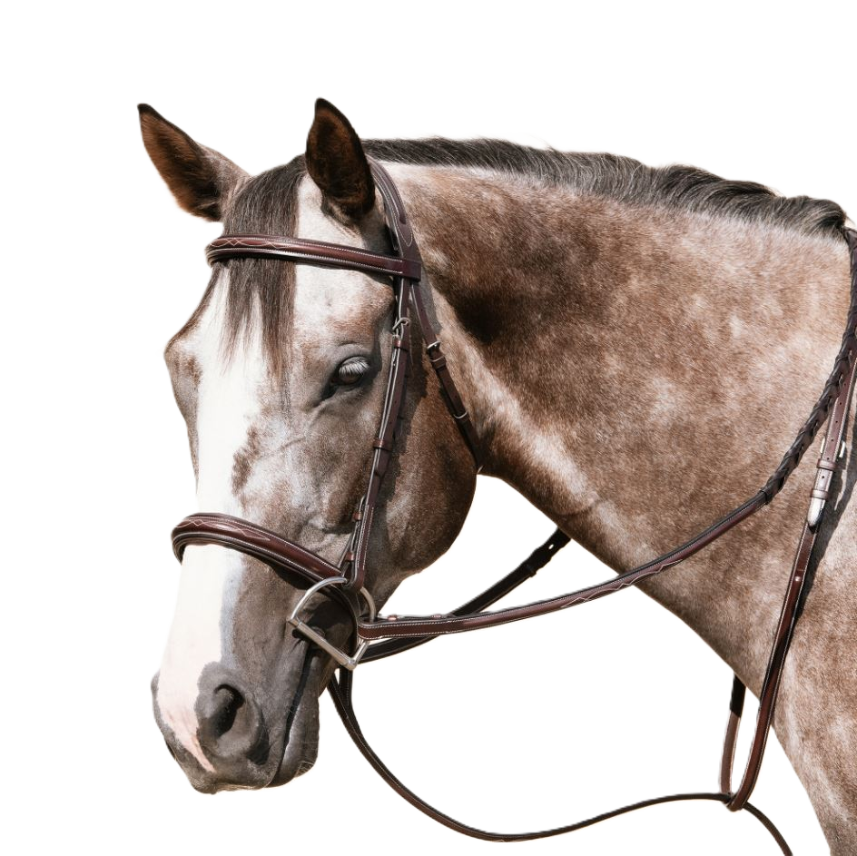 Nunn Finer Florence Bridle with Reins-zoom-2