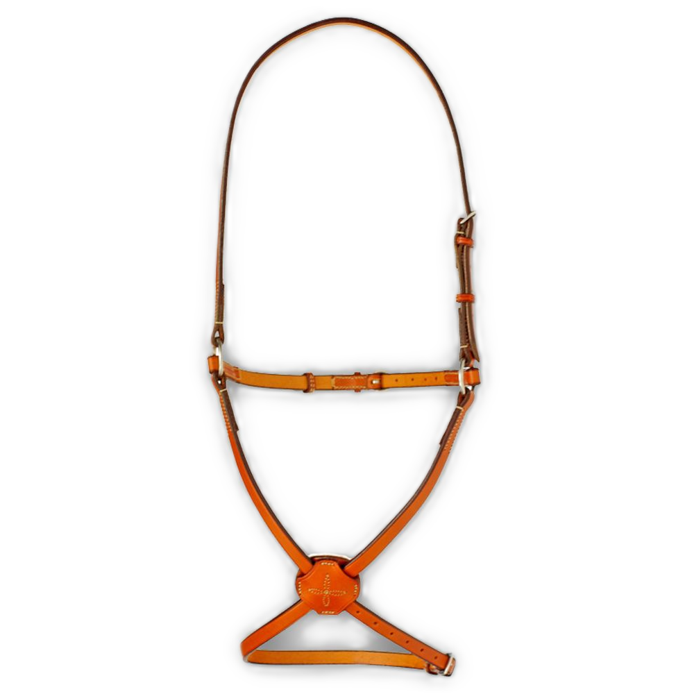Edgewood Fancy Flat Figure 8 Noseband-1