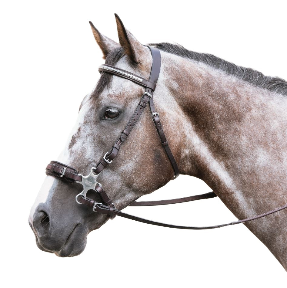 Nunn Finer Crossroad Hackamore with Leather Curb Strap-zoom-3