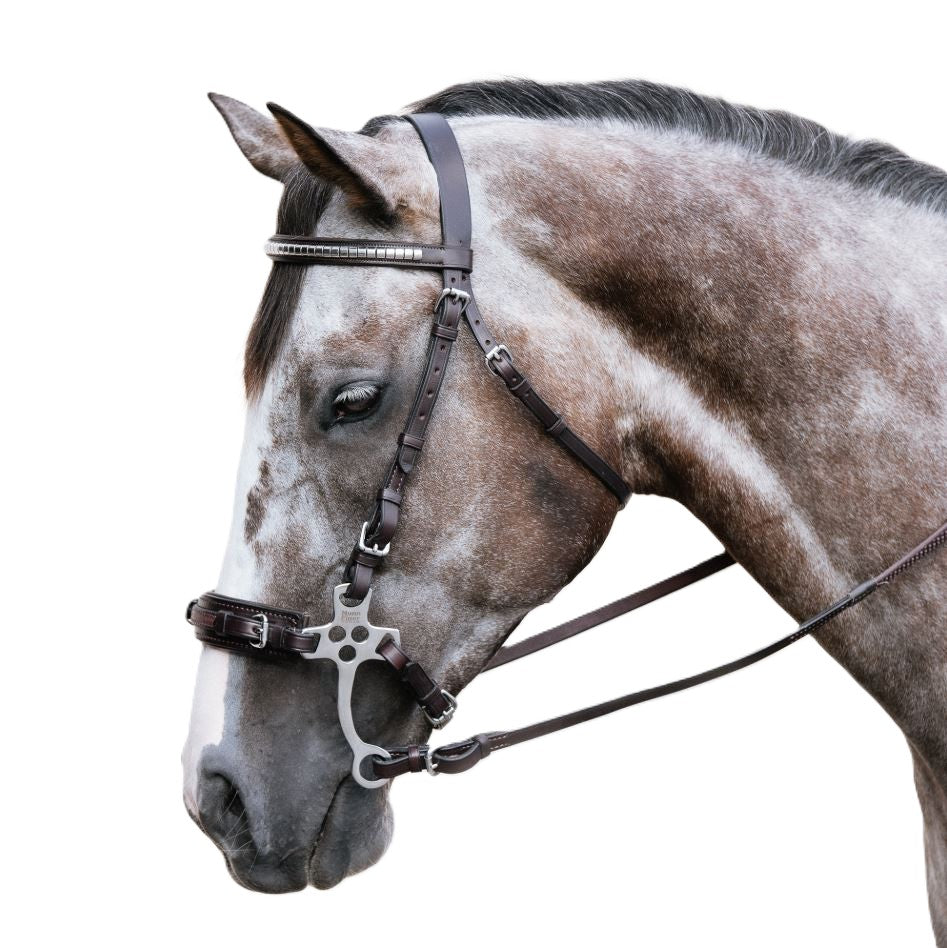 Nunn Finer Stealth Hackamore with Leather Curb Strap
