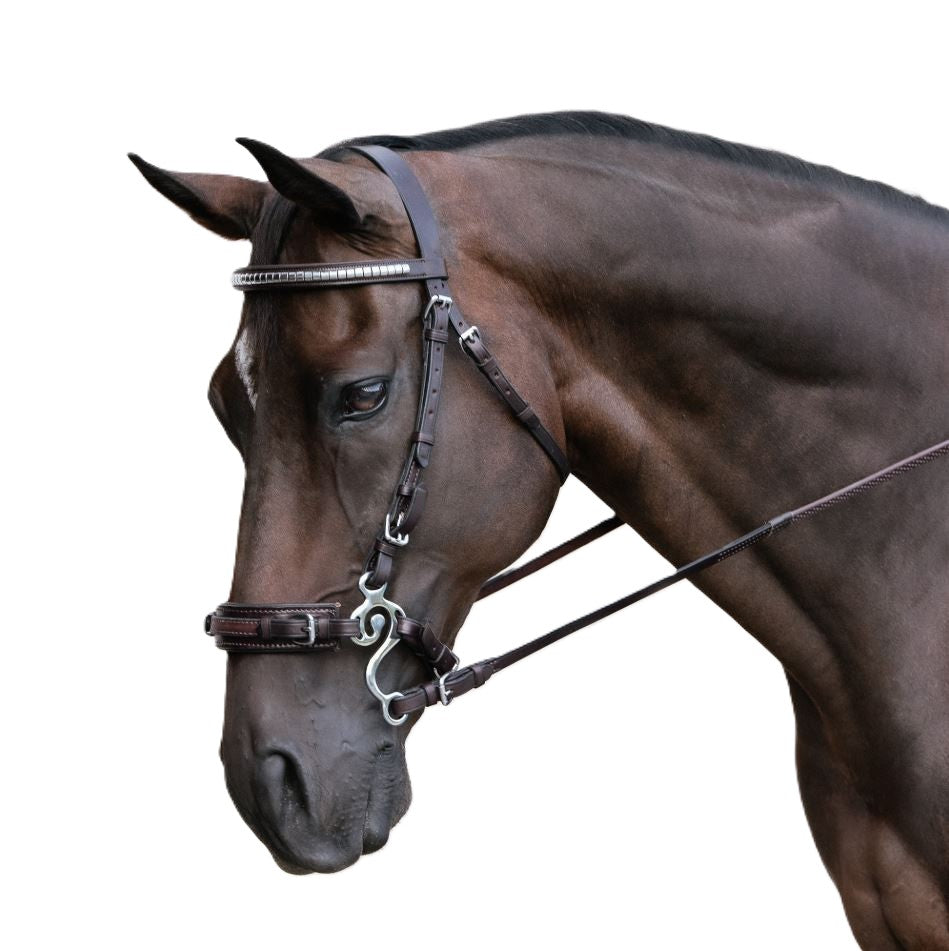 Nunn Finer Seahorse Hackamore with Leather Curb Strap