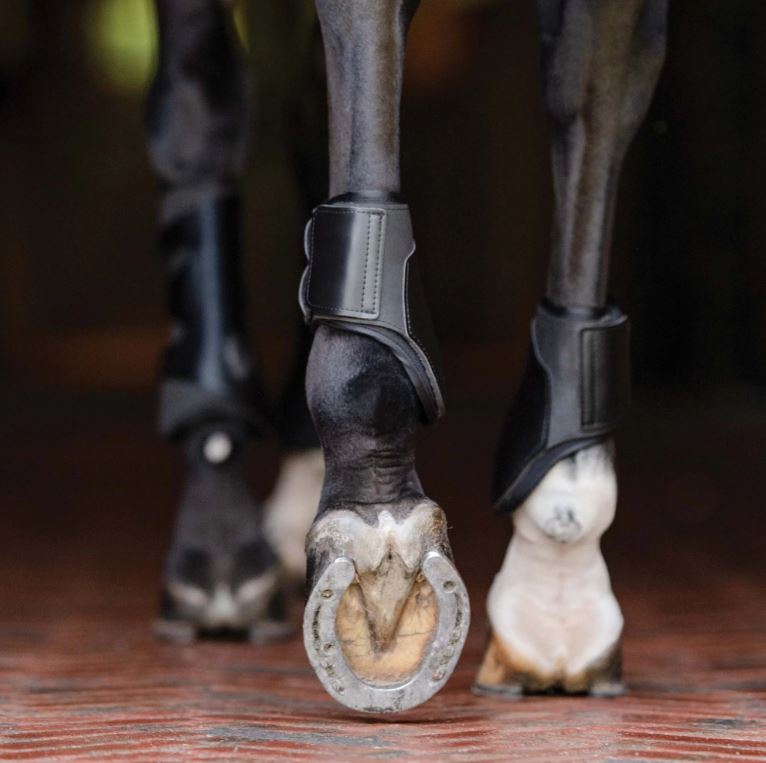 Equifit Essential: The Original Hind Boot-4