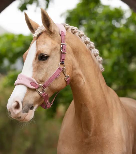 LeMieux Vogue Halter and Lead Rope Set-zoom-22