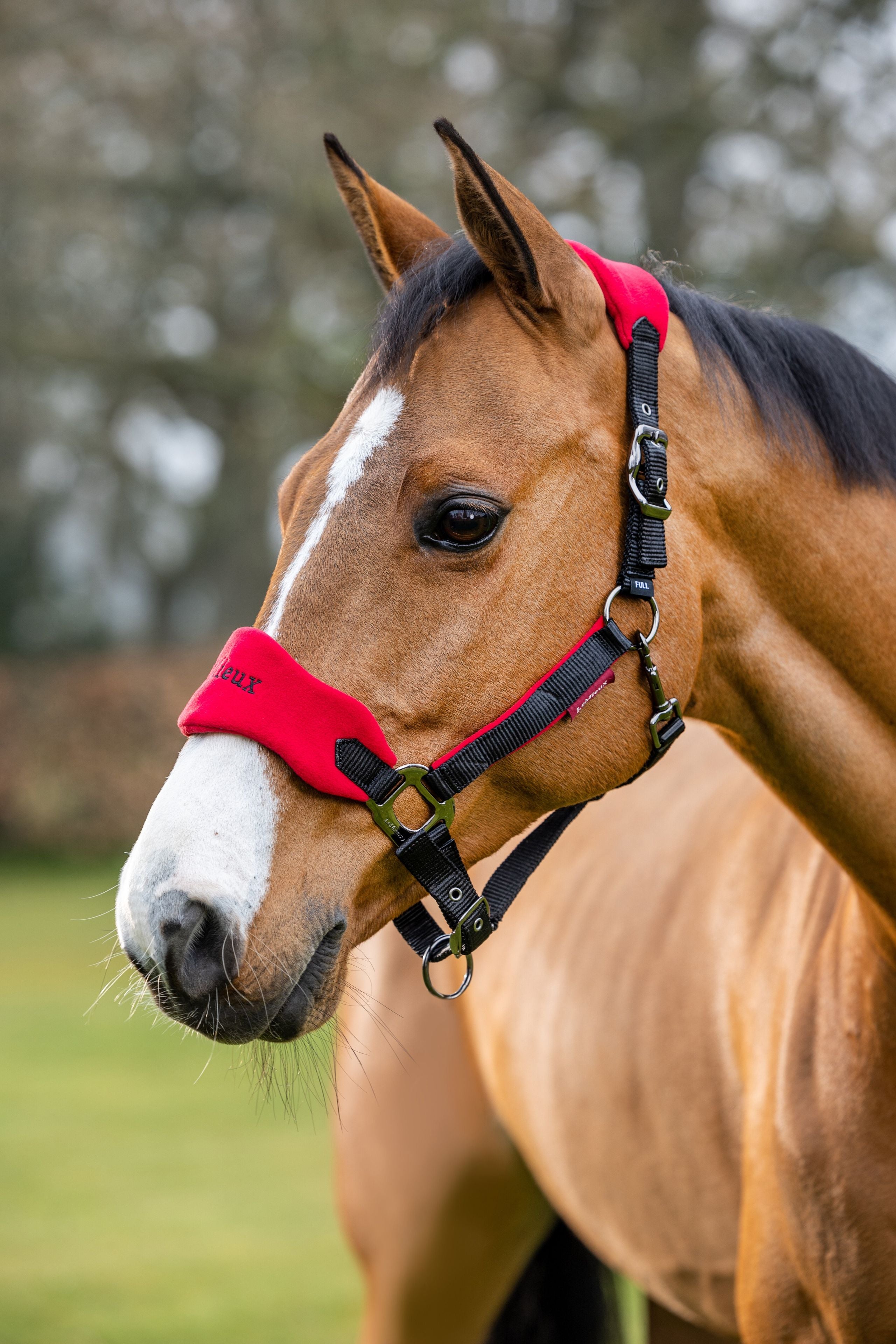 LeMieux Vogue Halter and Lead Rope Set-zoom-17