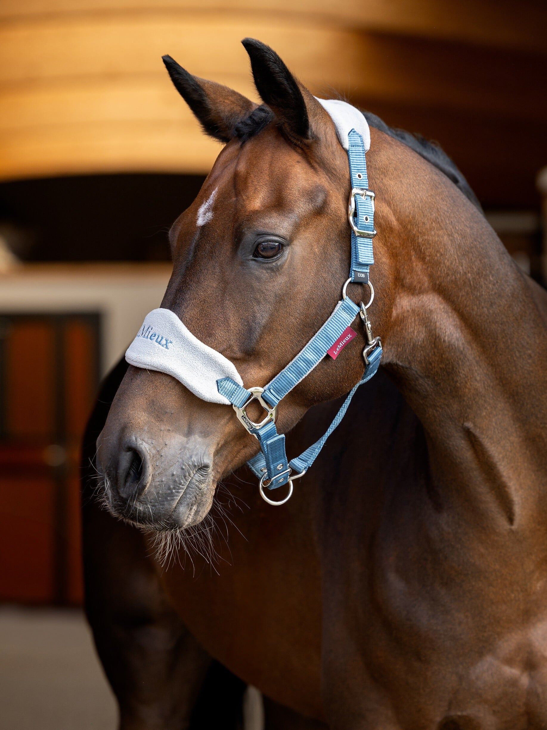 LeMieux Vogue Halter and Lead Rope Set-zoom-25