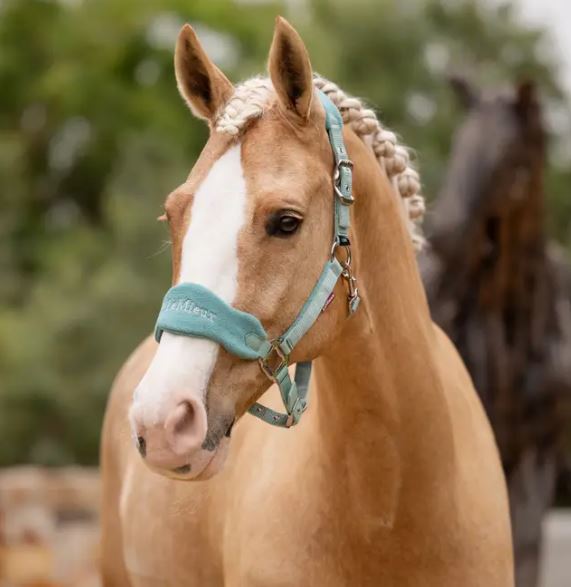 LeMieux Vogue Halter and Lead Rope Set-24