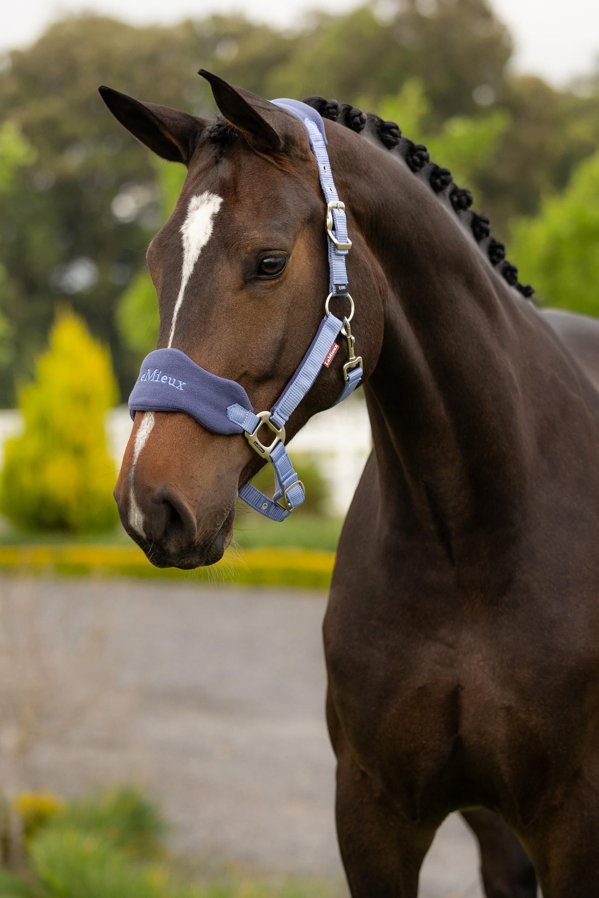 LeMieux Vogue Halter and Lead Rope Set-21