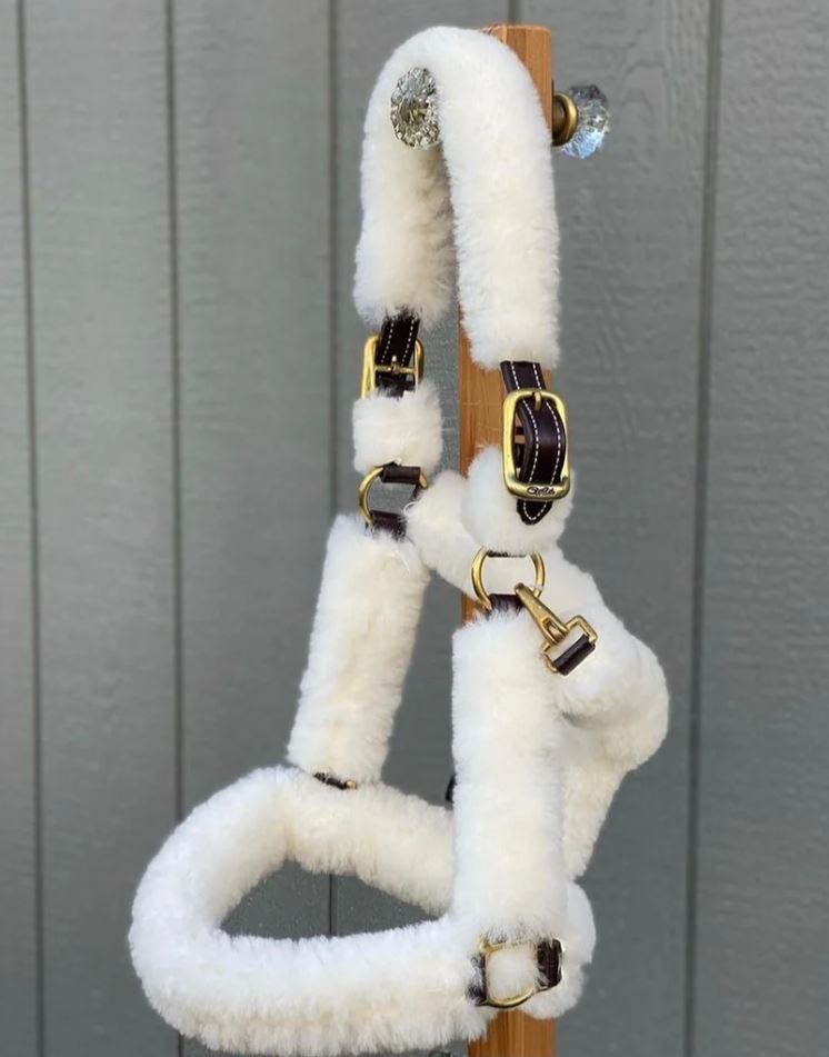 Walsh Deluxe Shipping Halter - Havana with White Sheepskin-2