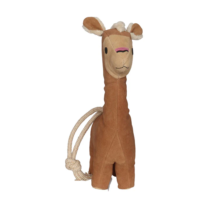 Stall Toy for Horses - Llama-zoom-2