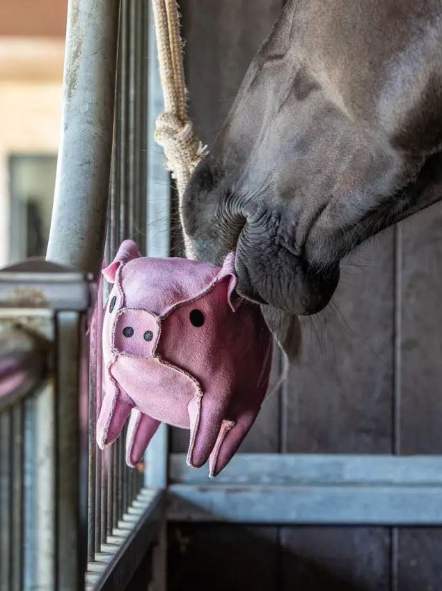 LeMieux Horse Toy - Flying Pig-4