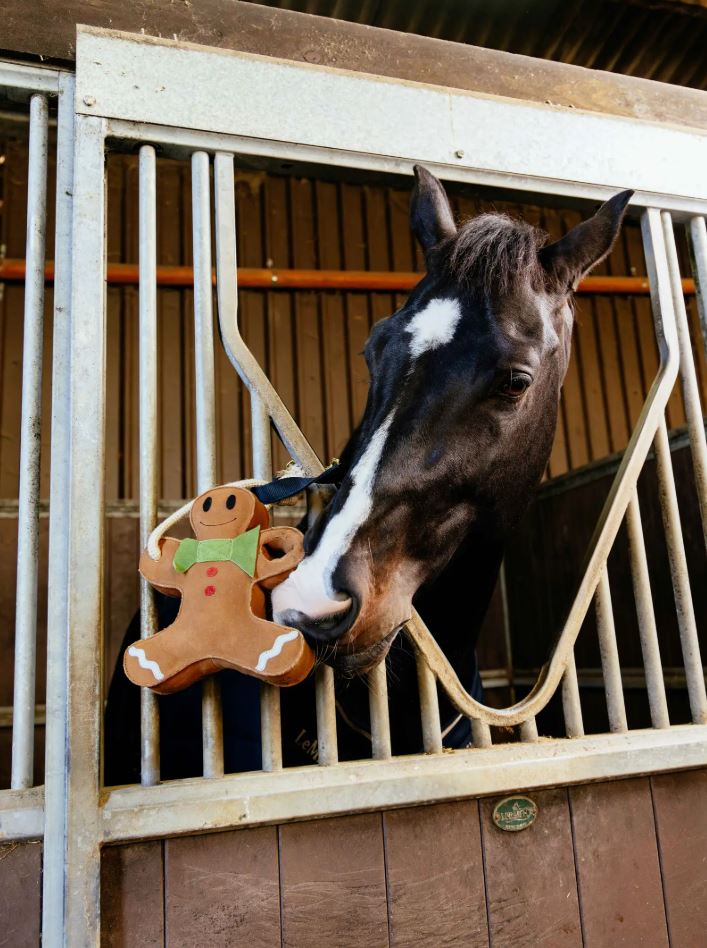 LeMieux Horse Toy - Gingerbread-4