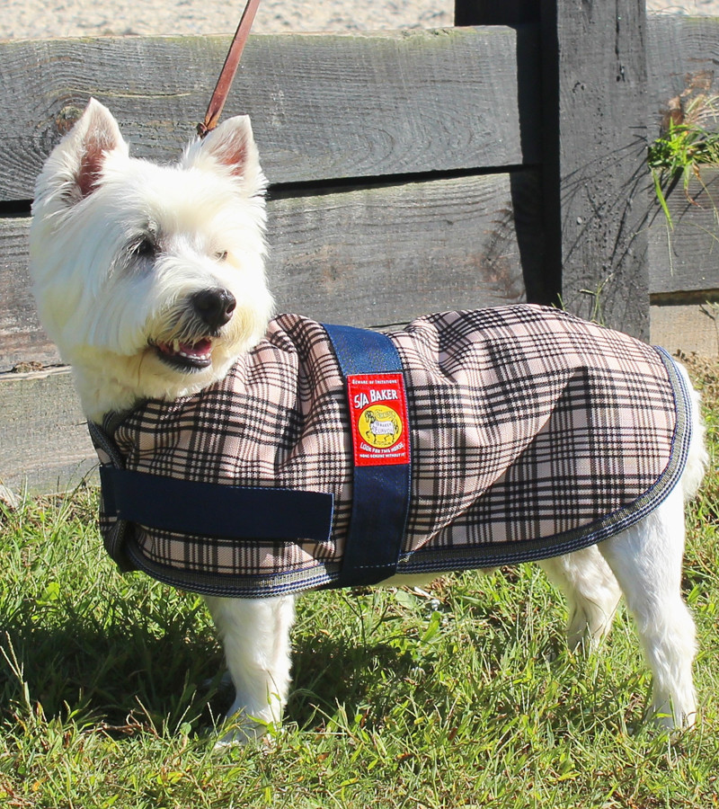 Baker Waterproof Insulated Dog Blanket-zoom-1