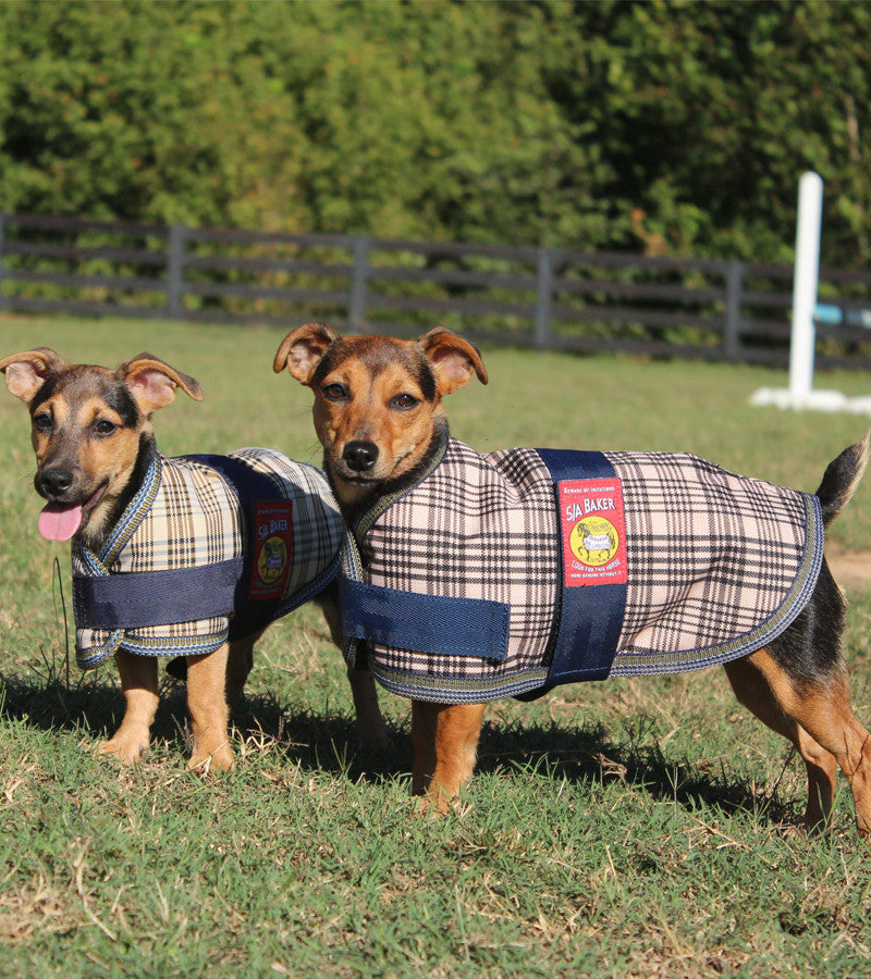 Baker Waterproof Insulated Dog Blanket