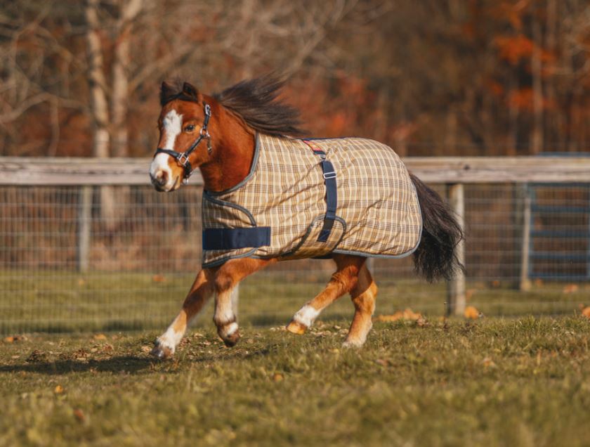 Baker Medium Weight Foal/Pony Expand-O Turnout Blanket 200g