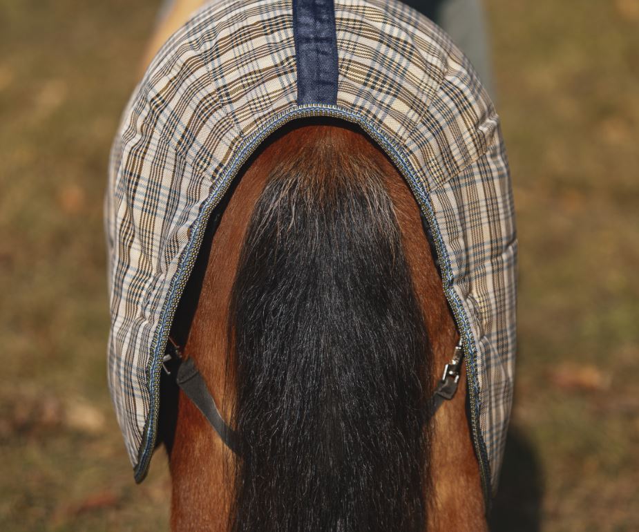 Baker Medium Weight Foal/Pony Expand-O Turnout Blanket 200g-6
