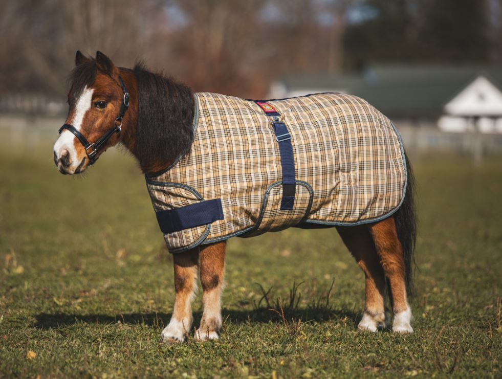 Baker Medium Weight Foal/Pony Expand-O Turnout Blanket 200g-4
