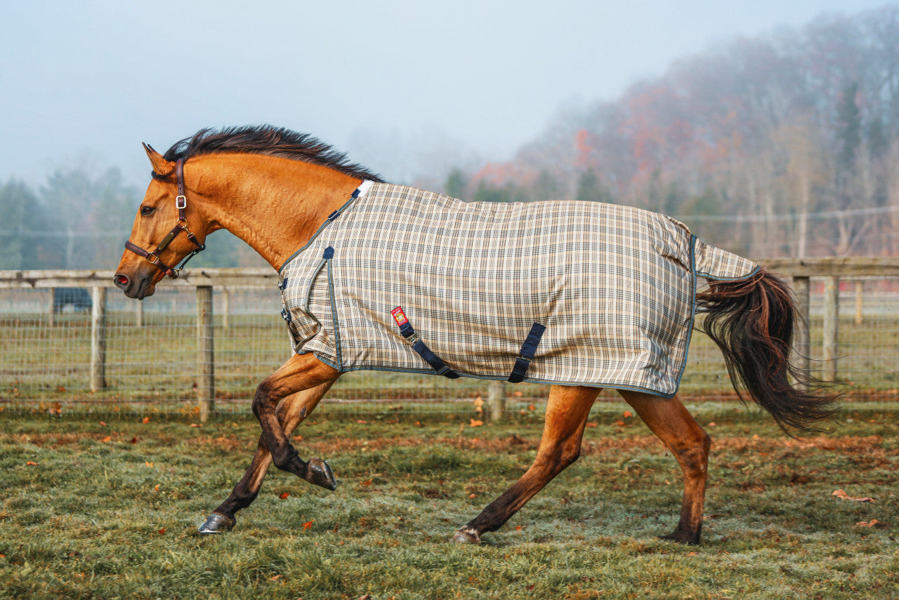 Baker Heavy Weight Turnout Blanket 400g-zoom-1