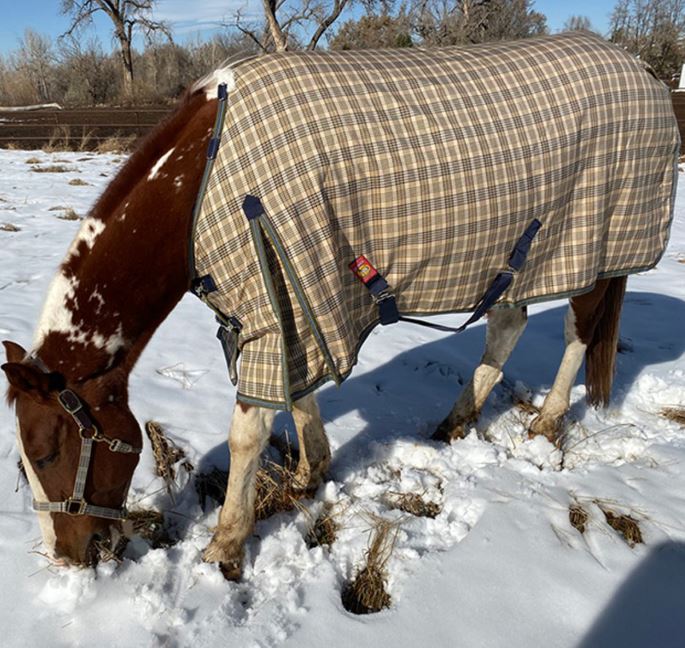 Baker Medium Weight Turnout Blanket 200g