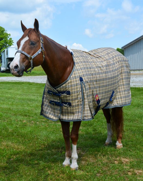 Baker Medium Weight Turnout Blanket 200g-4