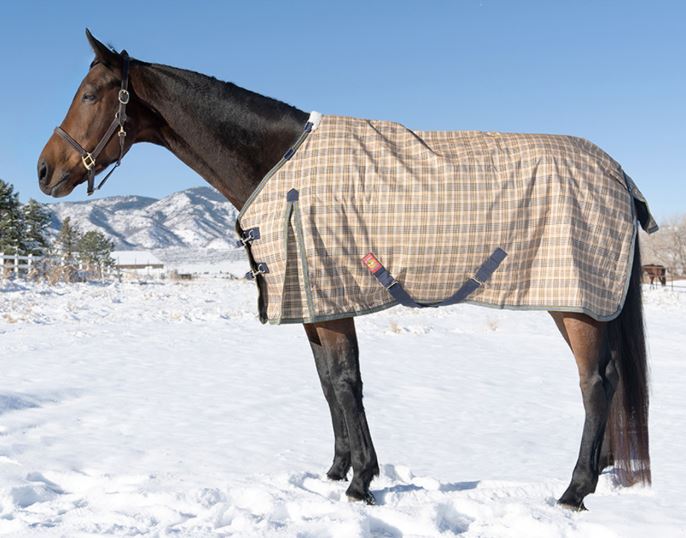 Baker Medium Weight Turnout Blanket 200g-zoom-3