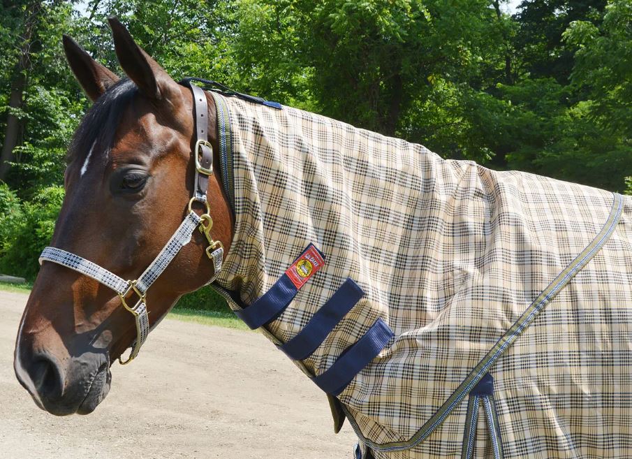 Baker Neck Cover for Turnout Blanket 200g-zoom-2