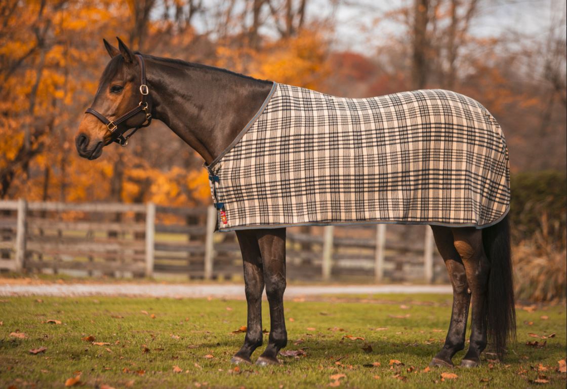 Baker Fleece Dress Sheet-zoom-1