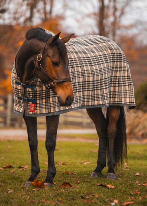 Baker Fleece Dress Sheet-zoom-3