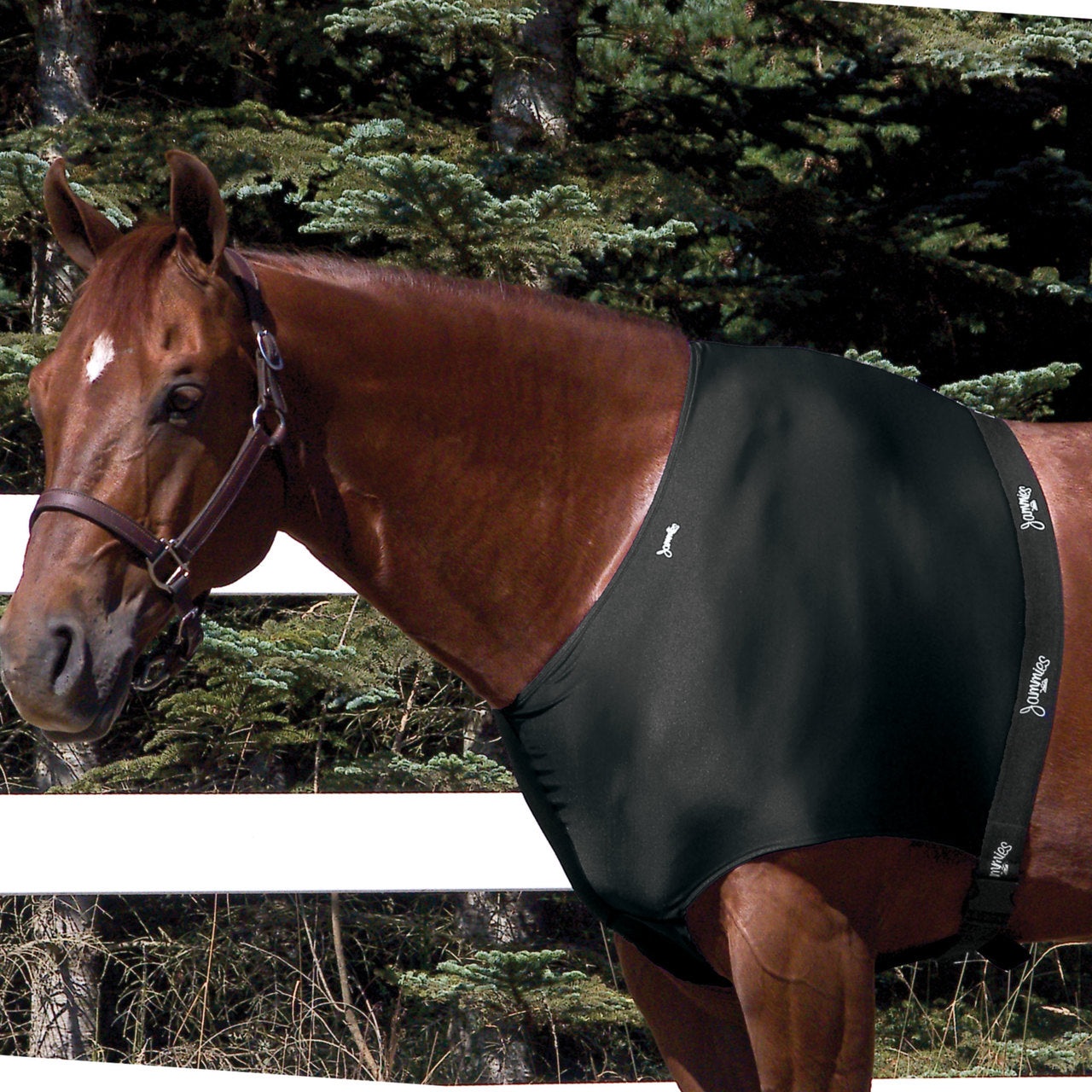 JAMMIES DESIGNER SHOULDER GUARD-zoom-1