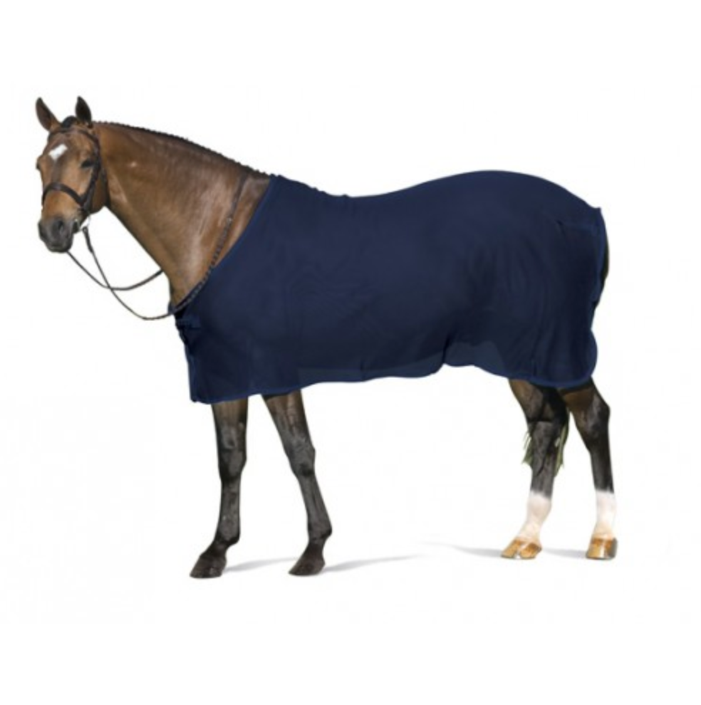 Show Scrim Dress Sheet-zoom-3