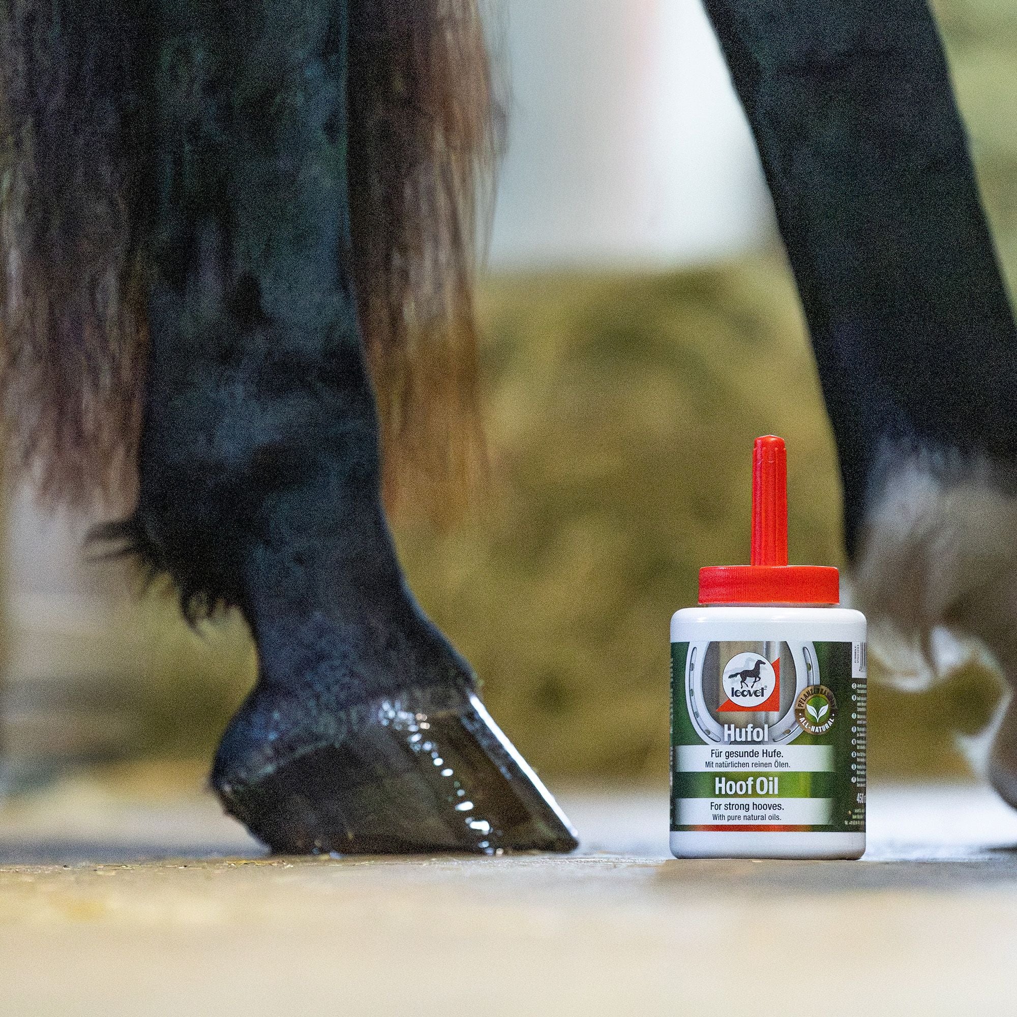 Leovet HoofLab Hoof Oil with Brush Applicator - 450 mL