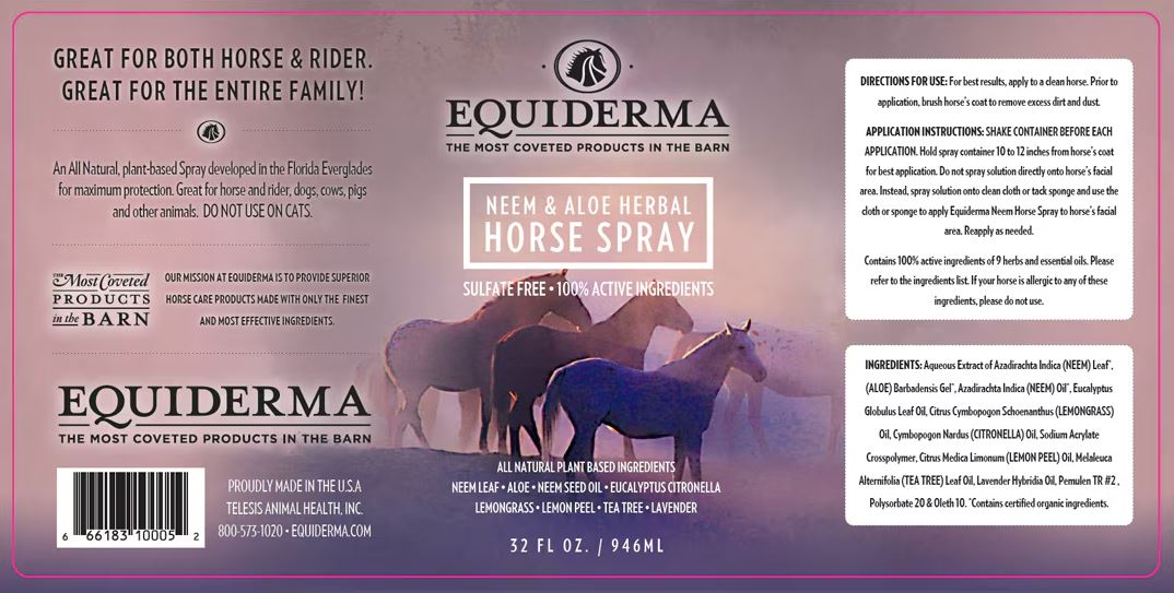 Equiderma Neem & Aloe Herbal Horse Spray Fly Spray Gallon - 128 oz-zoom-3