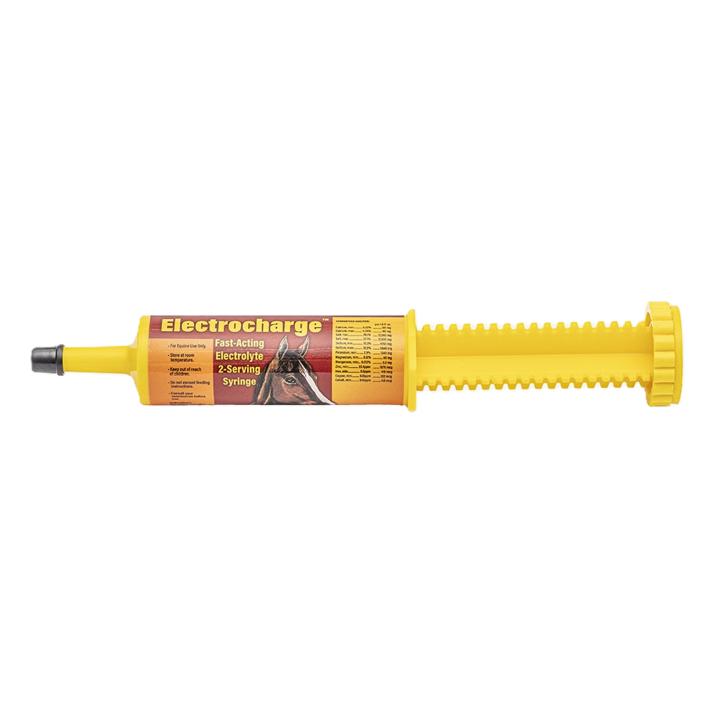 Finish Line Electrocharge Electrolyte Paste Syringe - 60 cc