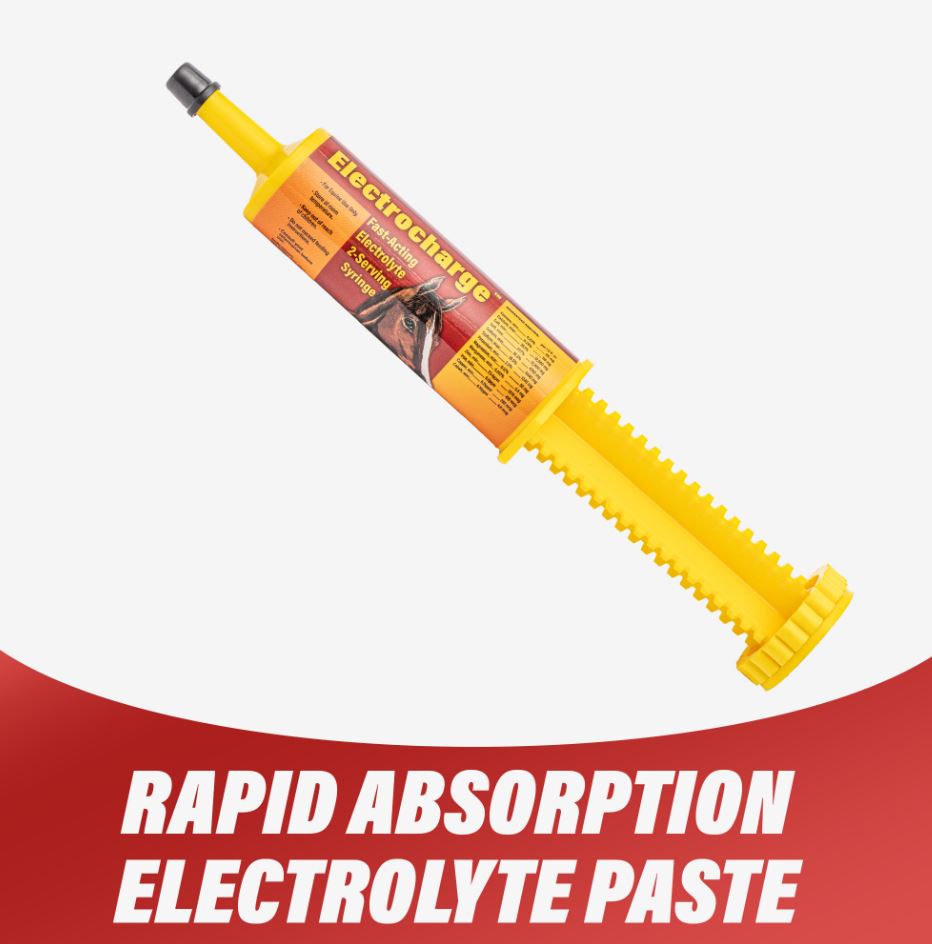 Finish Line Electrocharge Electrolyte Paste Syringe - 60 cc-3