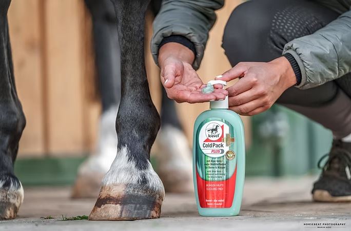 Leovet Cold Pack Plus Liniment with Pump 500 mL