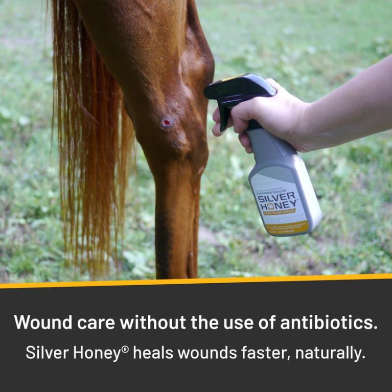 Absorbine Silver Honey Rapid Wound Repair Spray Gel - 8 oz
