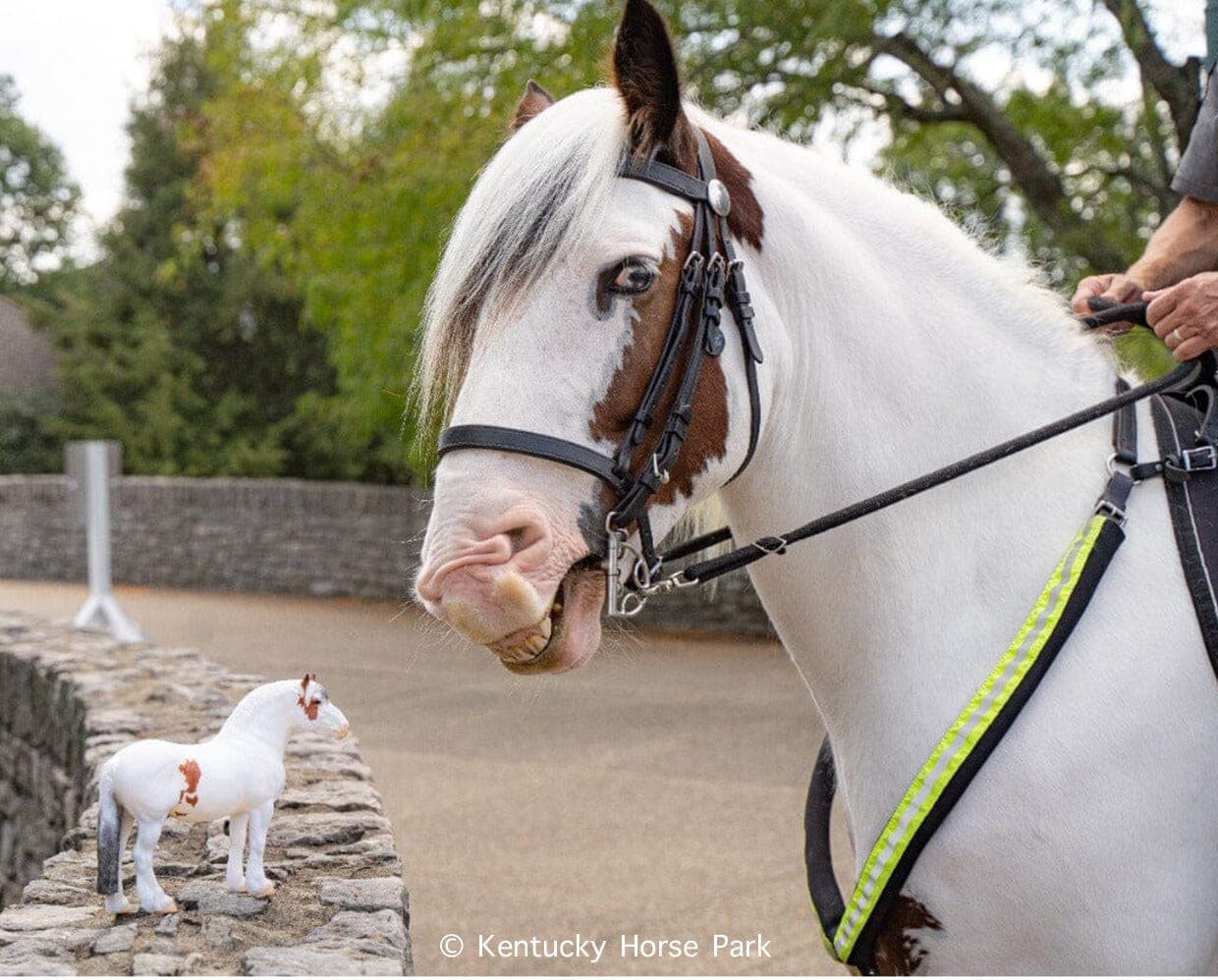 Breyer Hytyme Legend | KHP Mounted Police Horse-zoom-3