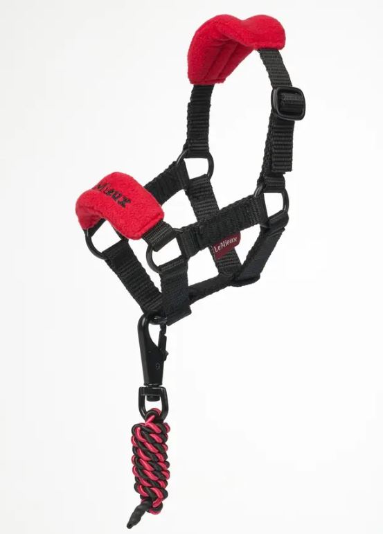 LeMieux Toy Pony Vogue Halter - 3 Colors Available-5