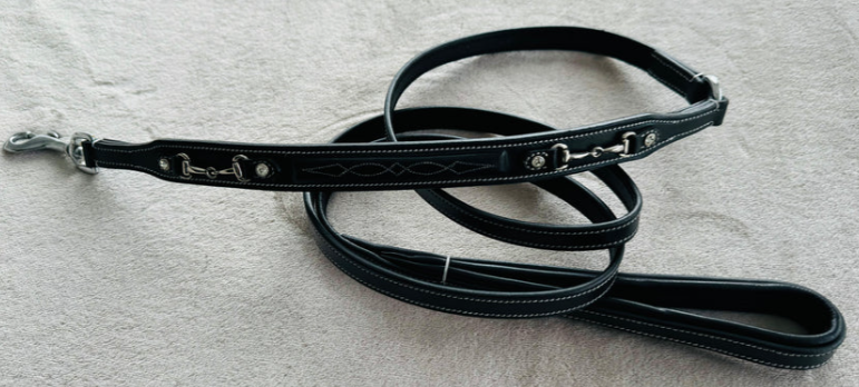 Bridleberry Leather Dog Leash